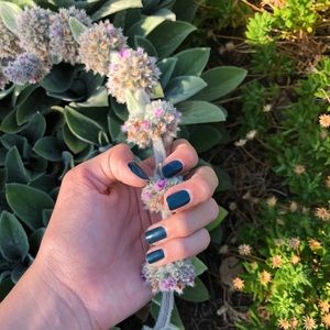 Meet your Posher, Corinne